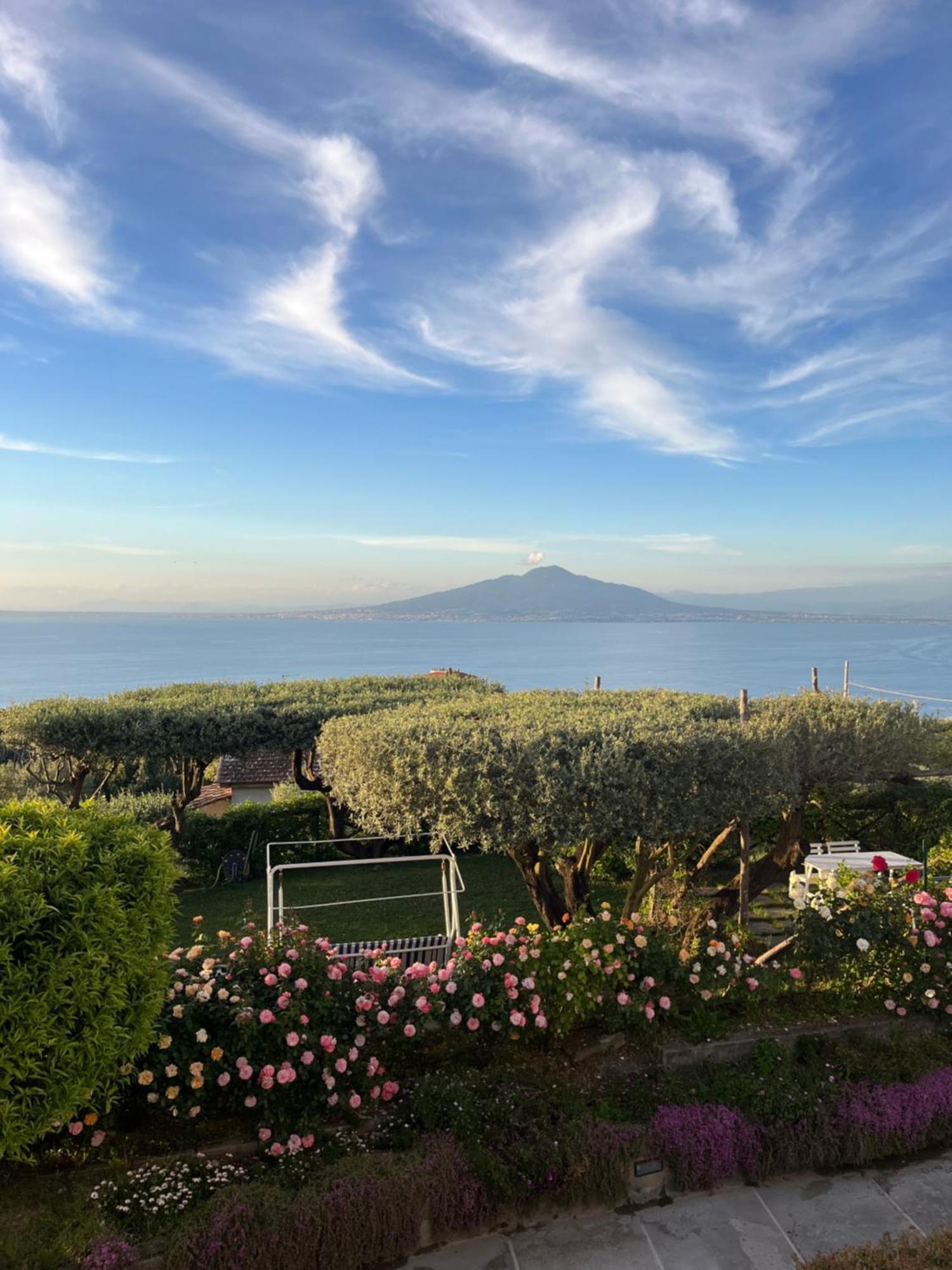 فندق Sorrento Garden المظهر الخارجي الصورة