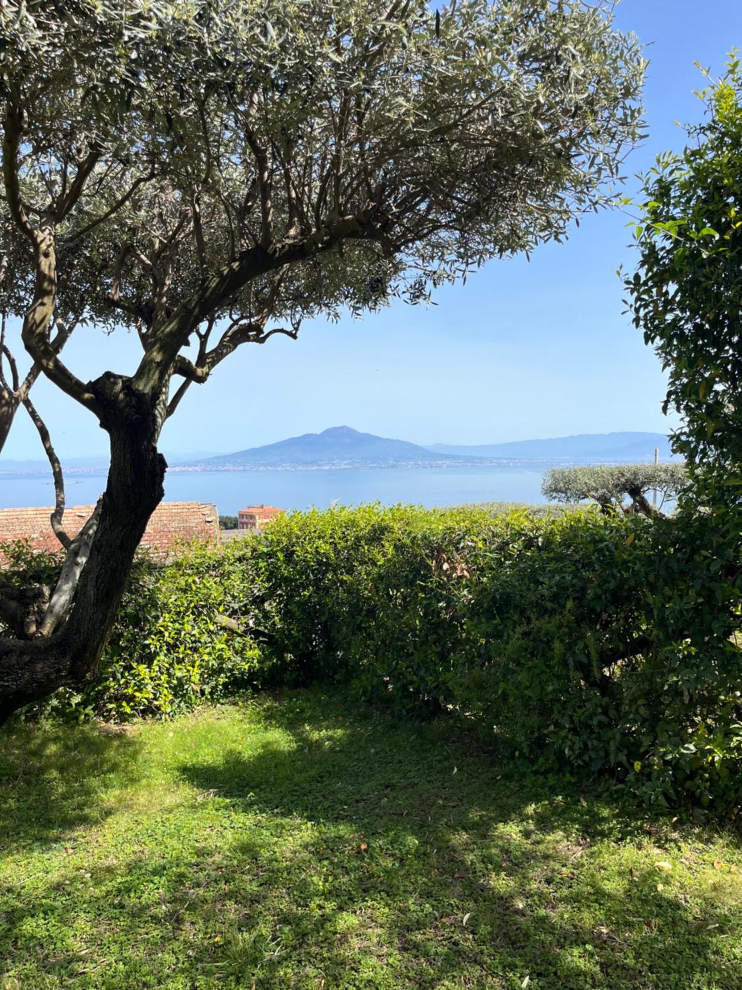 فندق Sorrento Garden المظهر الخارجي الصورة