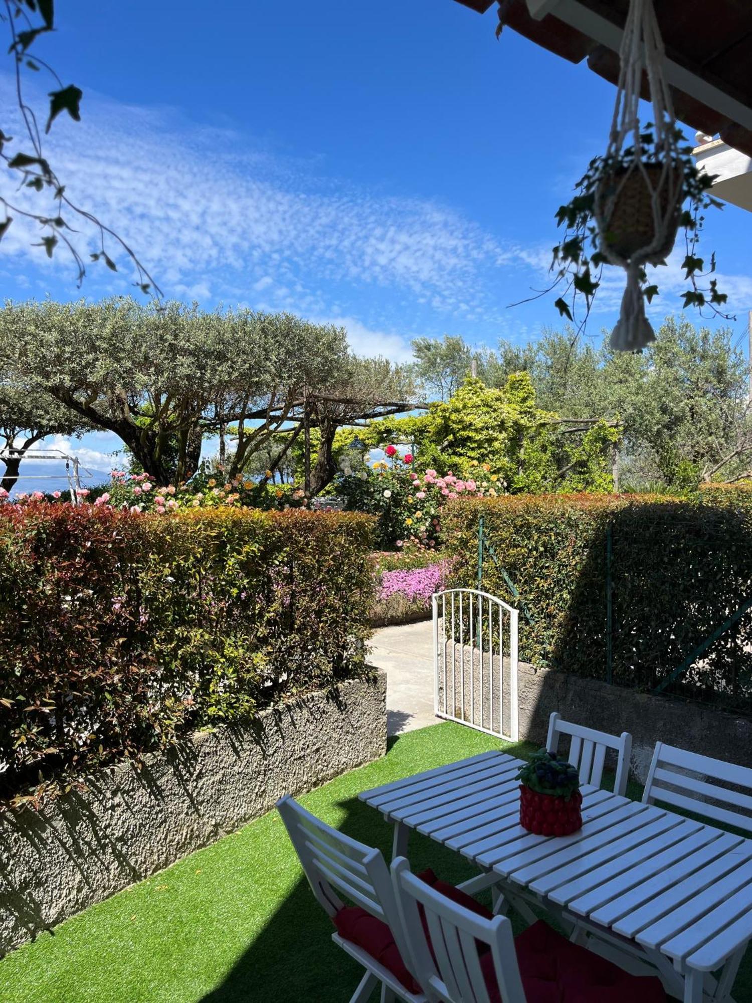 فندق Sorrento Garden المظهر الخارجي الصورة