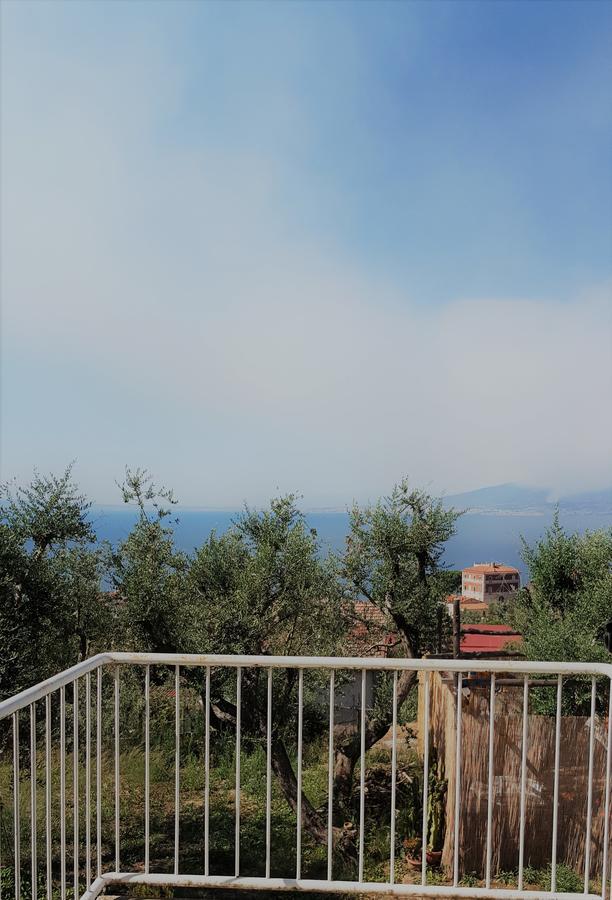 فندق Sorrento Garden المظهر الخارجي الصورة