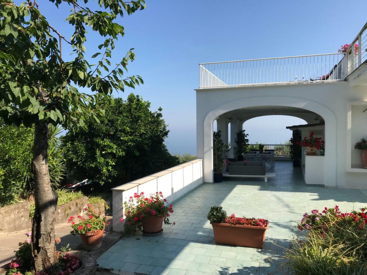 فندق Sorrento Garden المظهر الخارجي الصورة