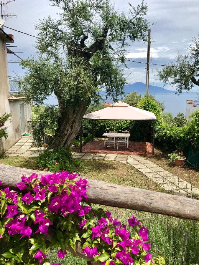 فندق Sorrento Garden المظهر الخارجي الصورة