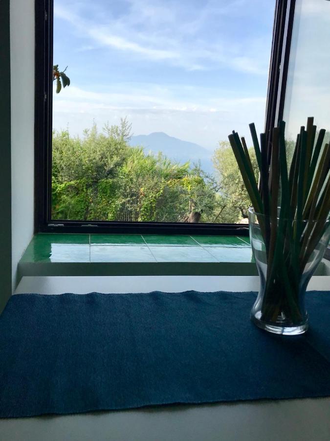 فندق Sorrento Garden المظهر الخارجي الصورة