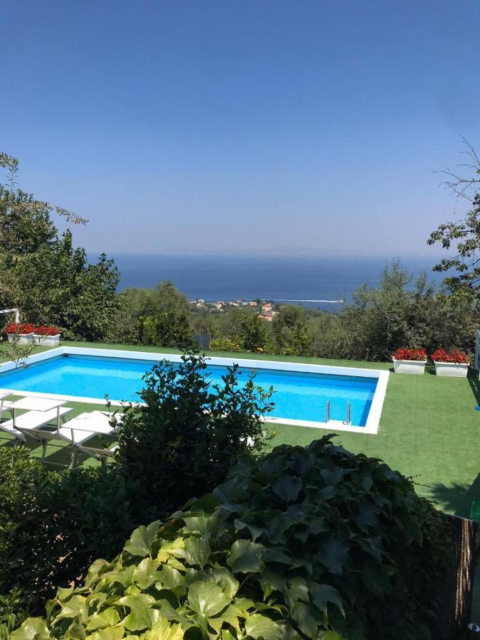 فندق Sorrento Garden المظهر الخارجي الصورة